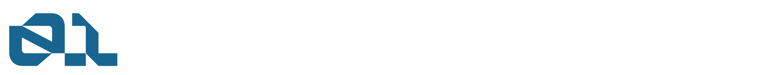 01 Performance Labs